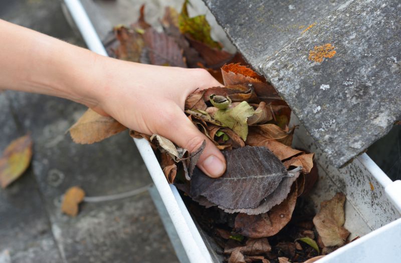 Gutter Cleaning